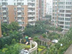 揭阳兴花园事件爆料最新,揭秘背后真相与居民抗争历程 第3张 揭阳兴花园事件爆料最新,揭秘背后真相与居民抗争历程 第3张